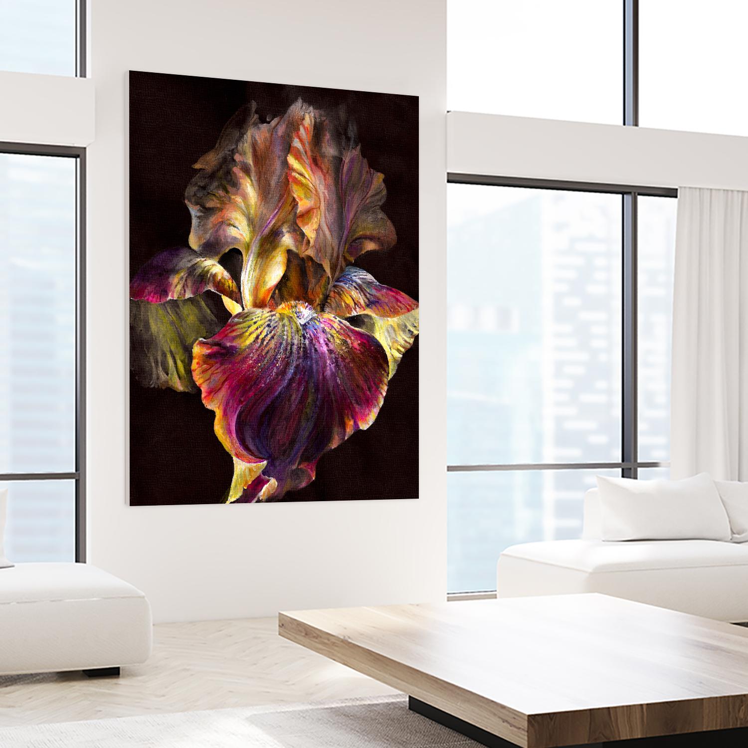 Iris by PhotoINC Studio on GIANT ART - multicolor photography; floral/still life