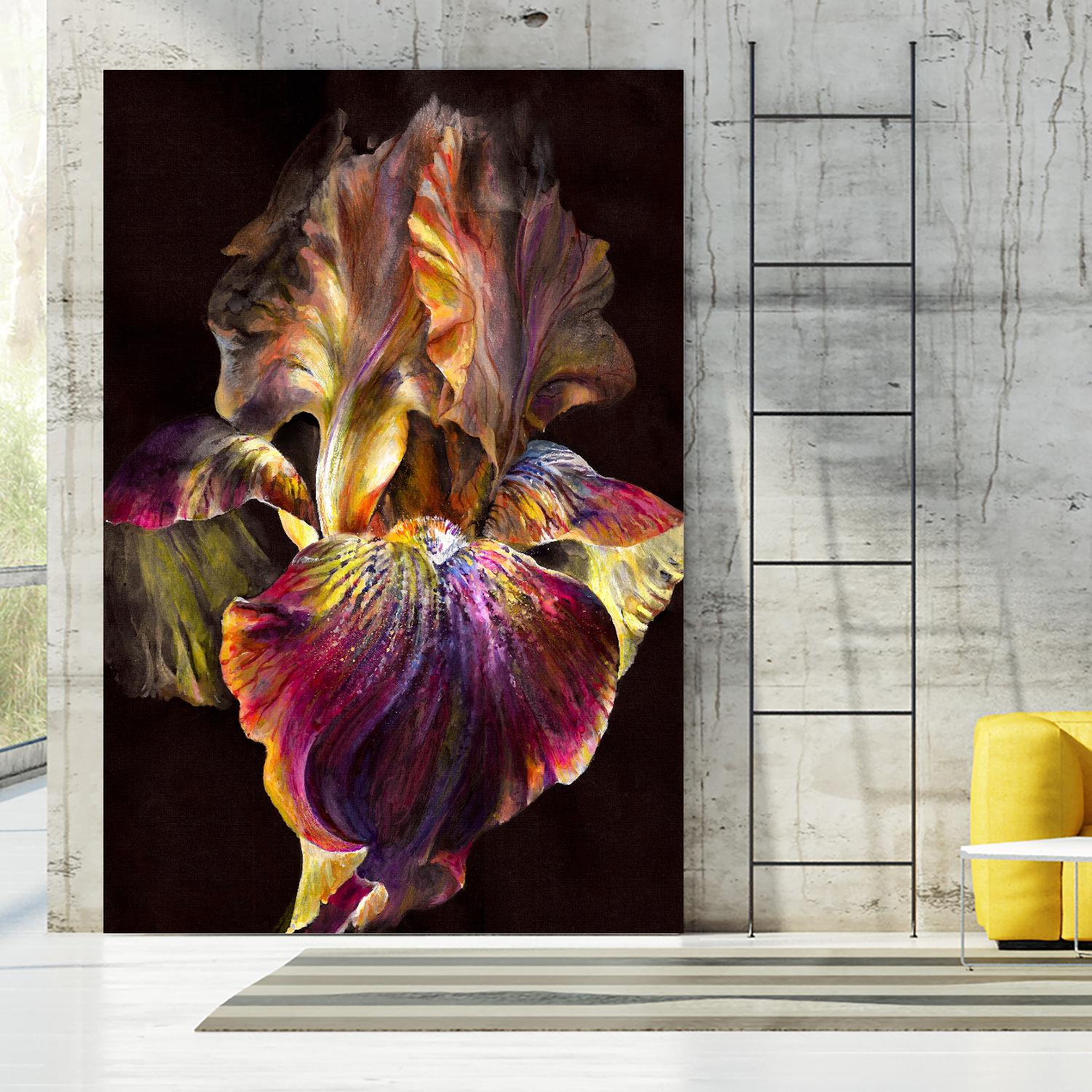 Iris by PhotoINC Studio on GIANT ART - multicolor photography; floral/still life