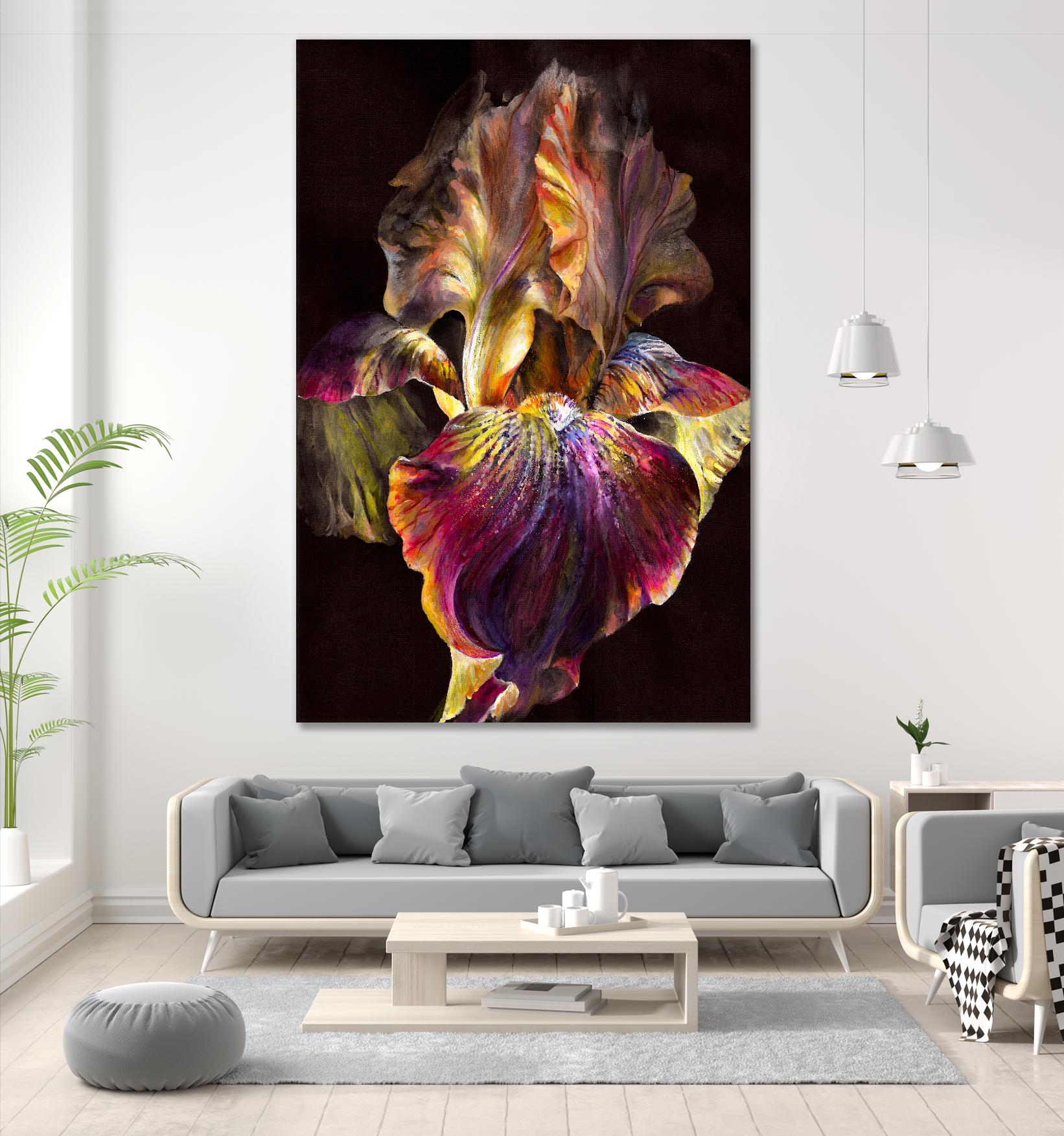 Iris by PhotoINC Studio on GIANT ART - multicolor photography; floral/still life