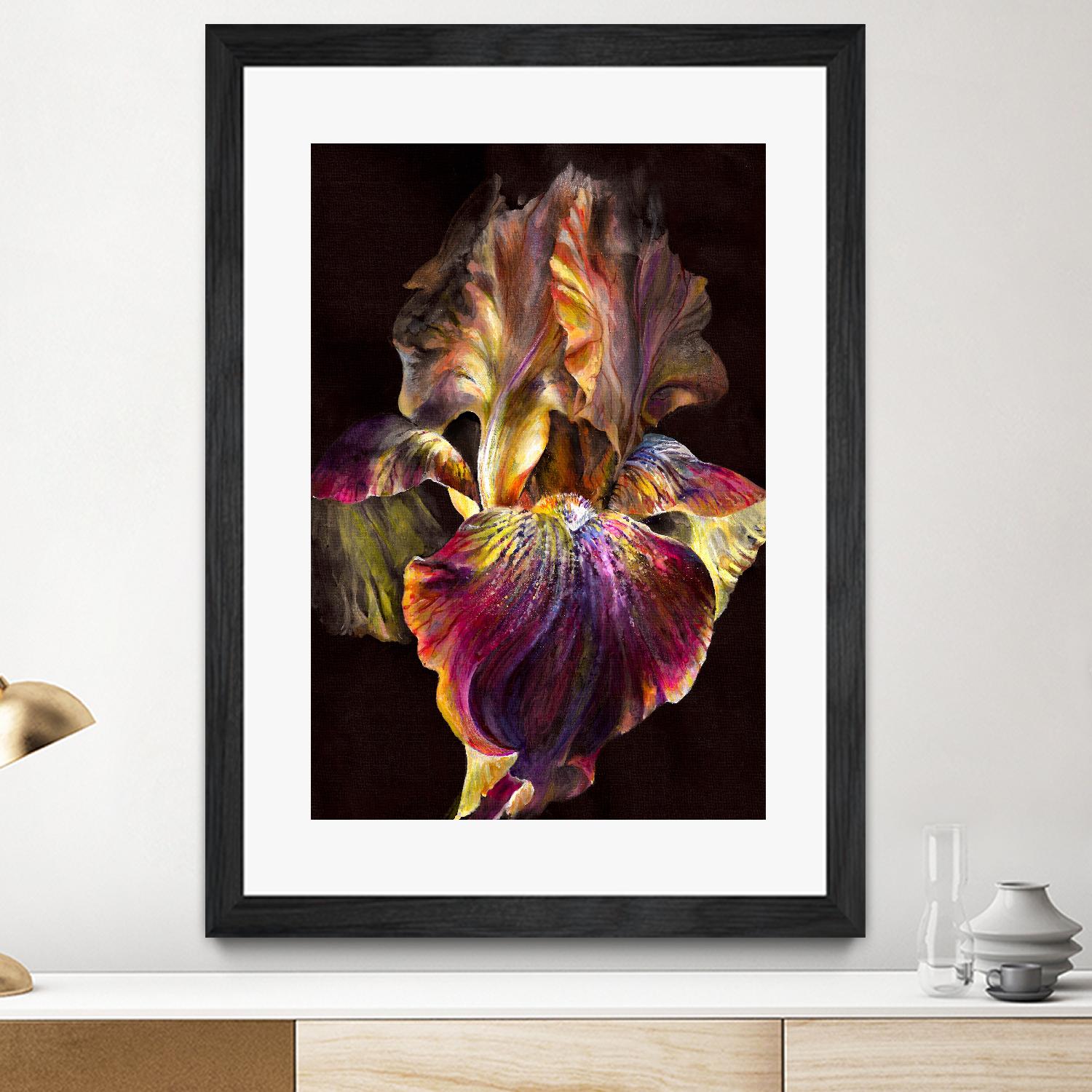 Iris by PhotoINC Studio on GIANT ART - multicolor photography; floral/still life