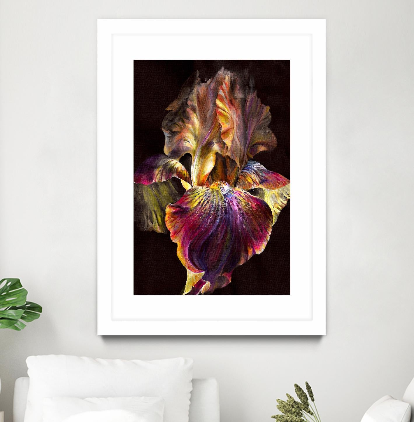 Iris by PhotoINC Studio on GIANT ART - multicolor photography; floral/still life