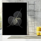 Dark Leaves by Incado on GIANT ART - multicolor photography; floral/still life