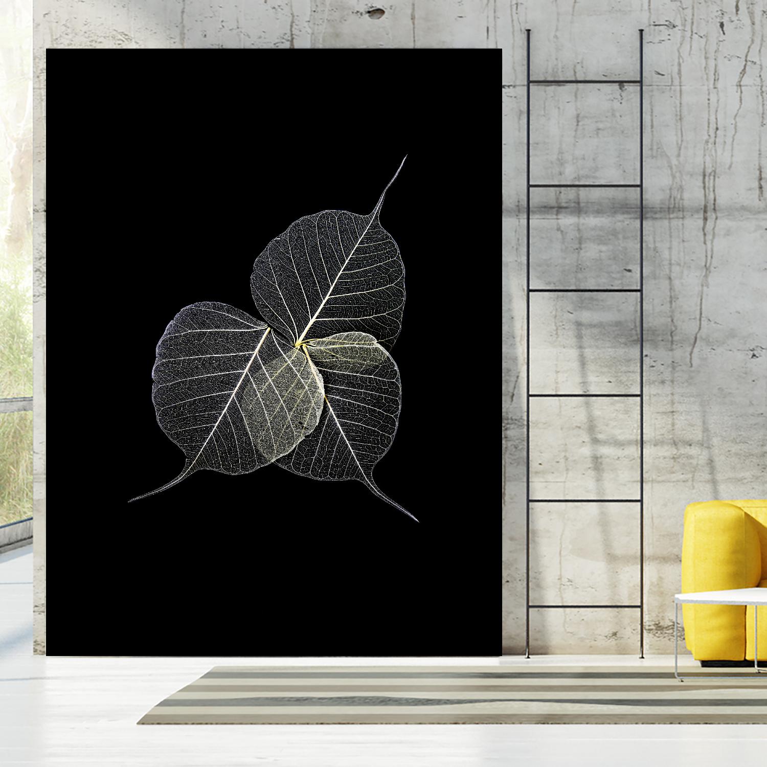 Dark Leaves by Incado on GIANT ART - multicolor photography; floral/still life