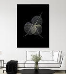 Dark Leaves by Incado on GIANT ART - multicolor photography; floral/still life