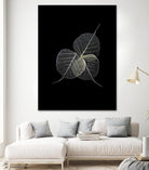 Dark Leaves by Incado on GIANT ART - multicolor photography; floral/still life