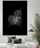Dark Leaves by Incado on GIANT ART - multicolor photography; floral/still life