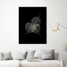 Dark Leaves by Incado on GIANT ART - multicolor photography; floral/still life