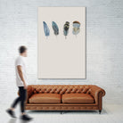 Feather 11 by Incado on GIANT ART - multicolor floral/still life