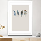 Feather 11 by Incado on GIANT ART - multicolor floral/still life