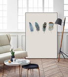 Feather 11 by Incado on GIANT ART - multicolor floral/still life