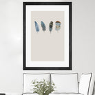 Feather 11 by Incado on GIANT ART - multicolor floral/still life