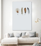 Feather 12 by Incado on GIANT ART - multicolor floral/still life