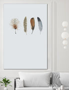 Feather 12 by Incado on GIANT ART - multicolor floral/still life