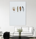 Feather 12 by Incado on GIANT ART - multicolor floral/still life