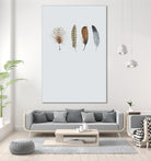 Feather 12 by Incado on GIANT ART - multicolor floral/still life