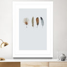 Feather 12 by Incado on GIANT ART - multicolor floral/still life