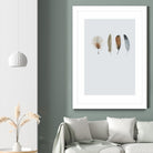 Feather 12 by Incado on GIANT ART - multicolor floral/still life