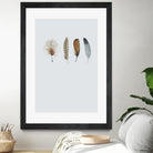 Feather 12 by Incado on GIANT ART - multicolor floral/still life