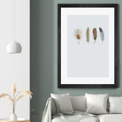 Feather 12 by Incado on GIANT ART - multicolor floral/still life