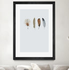 Feather 12 by Incado on GIANT ART - multicolor floral/still life