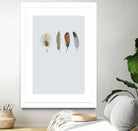 Feather 12 by Incado on GIANT ART - multicolor floral/still life