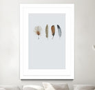 Feather 12 by Incado on GIANT ART - multicolor floral/still life