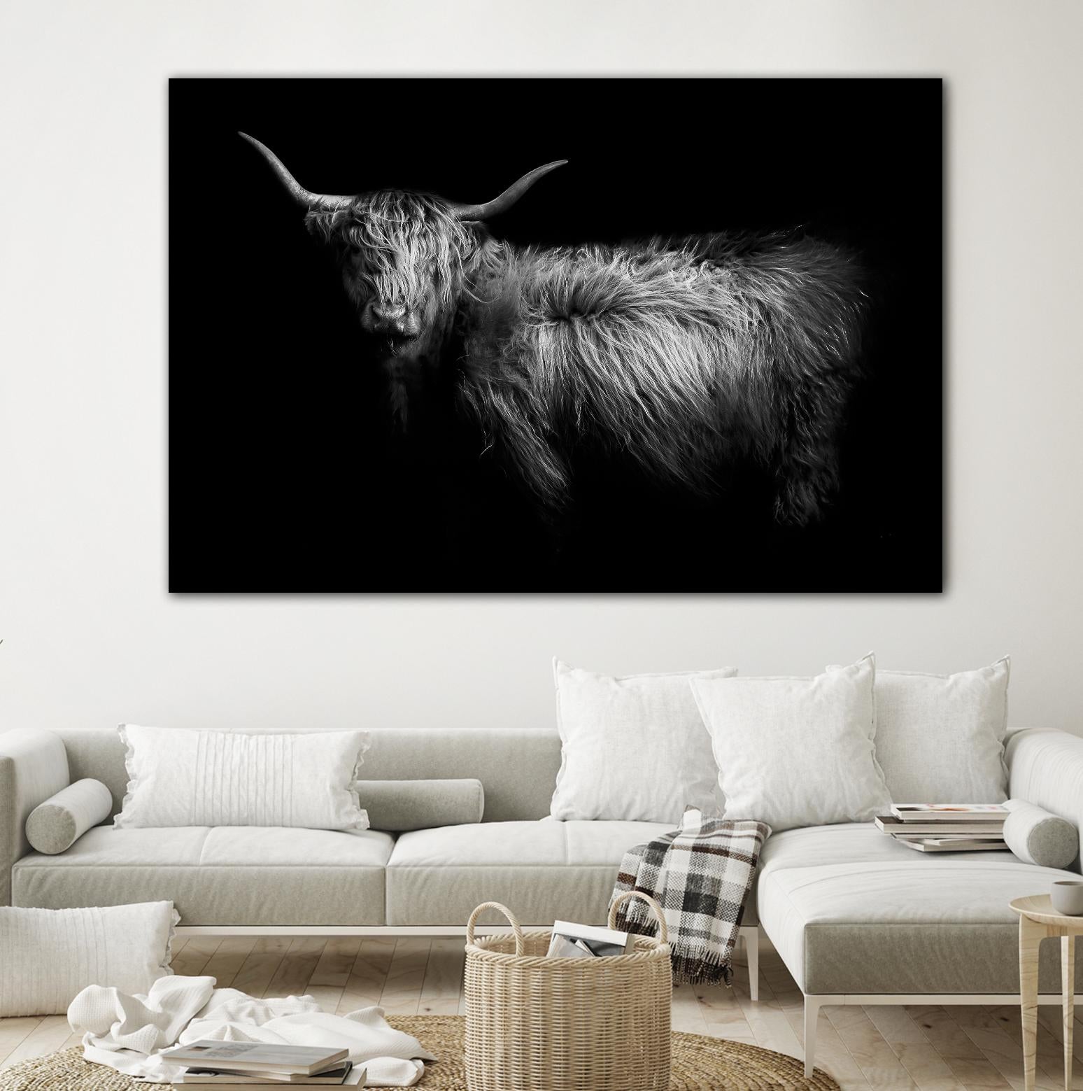 Hello by PhotoINC Studio on GIANT ART - multicolor animals; photography