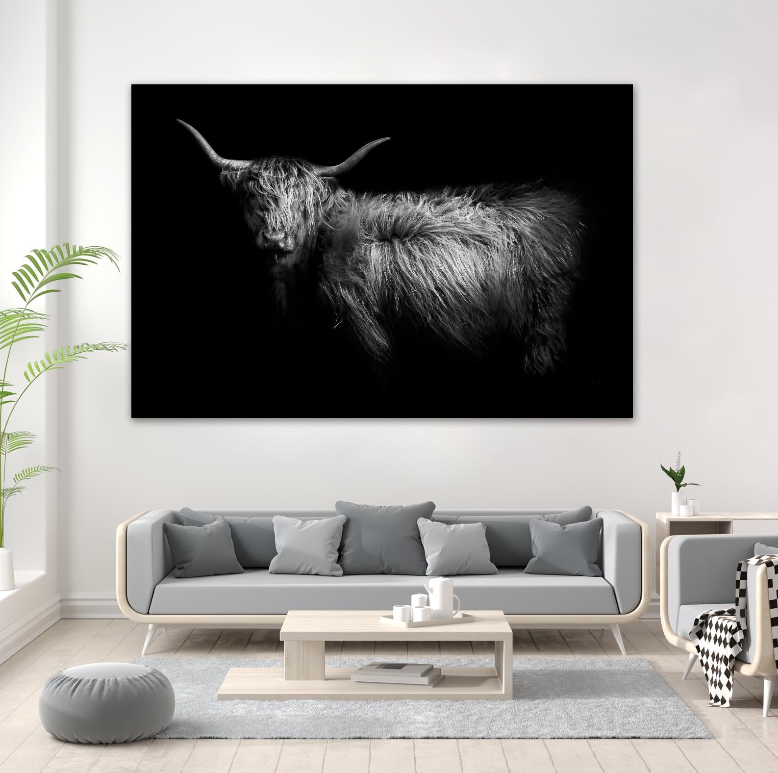 Hello by PhotoINC Studio on GIANT ART - multicolor animals; photography