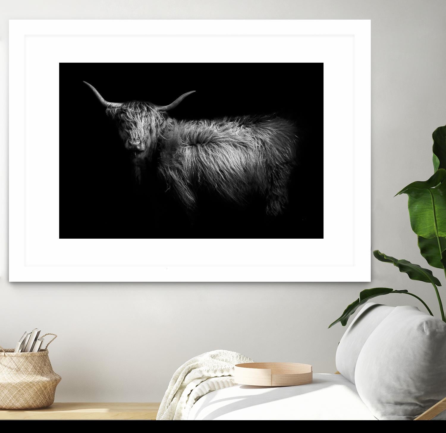 Hello by PhotoINC Studio on GIANT ART - multicolor animals; photography