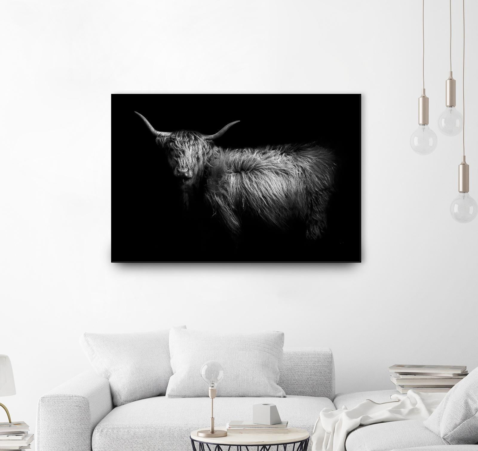 Hello by PhotoINC Studio on GIANT ART - multicolor animals; photography