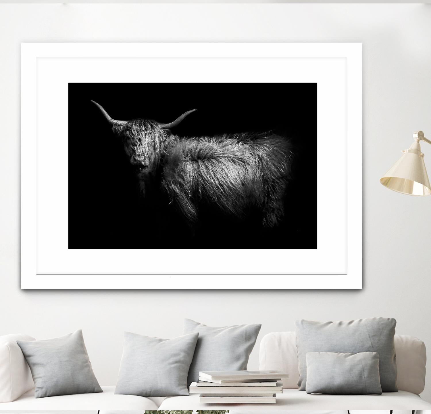 Hello by PhotoINC Studio on GIANT ART - multicolor animals; photography