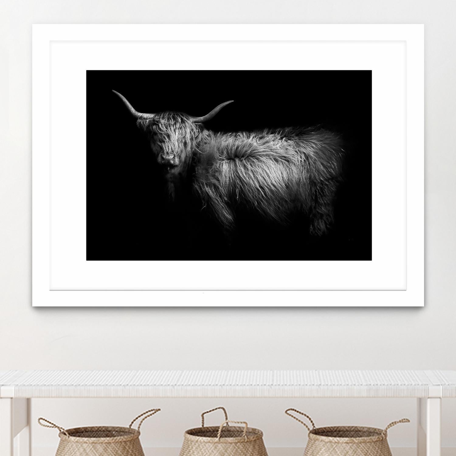 Hello by PhotoINC Studio on GIANT ART - multicolor animals; photography