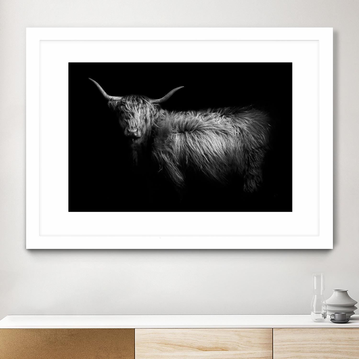 Hello by PhotoINC Studio on GIANT ART - multicolor animals; photography