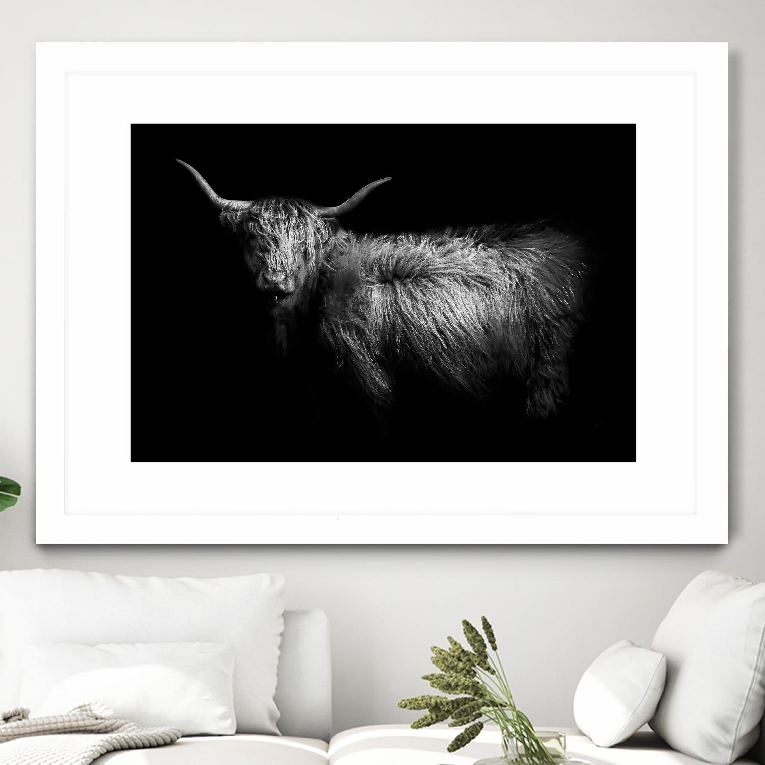 Hello by PhotoINC Studio on GIANT ART - multicolor animals; photography