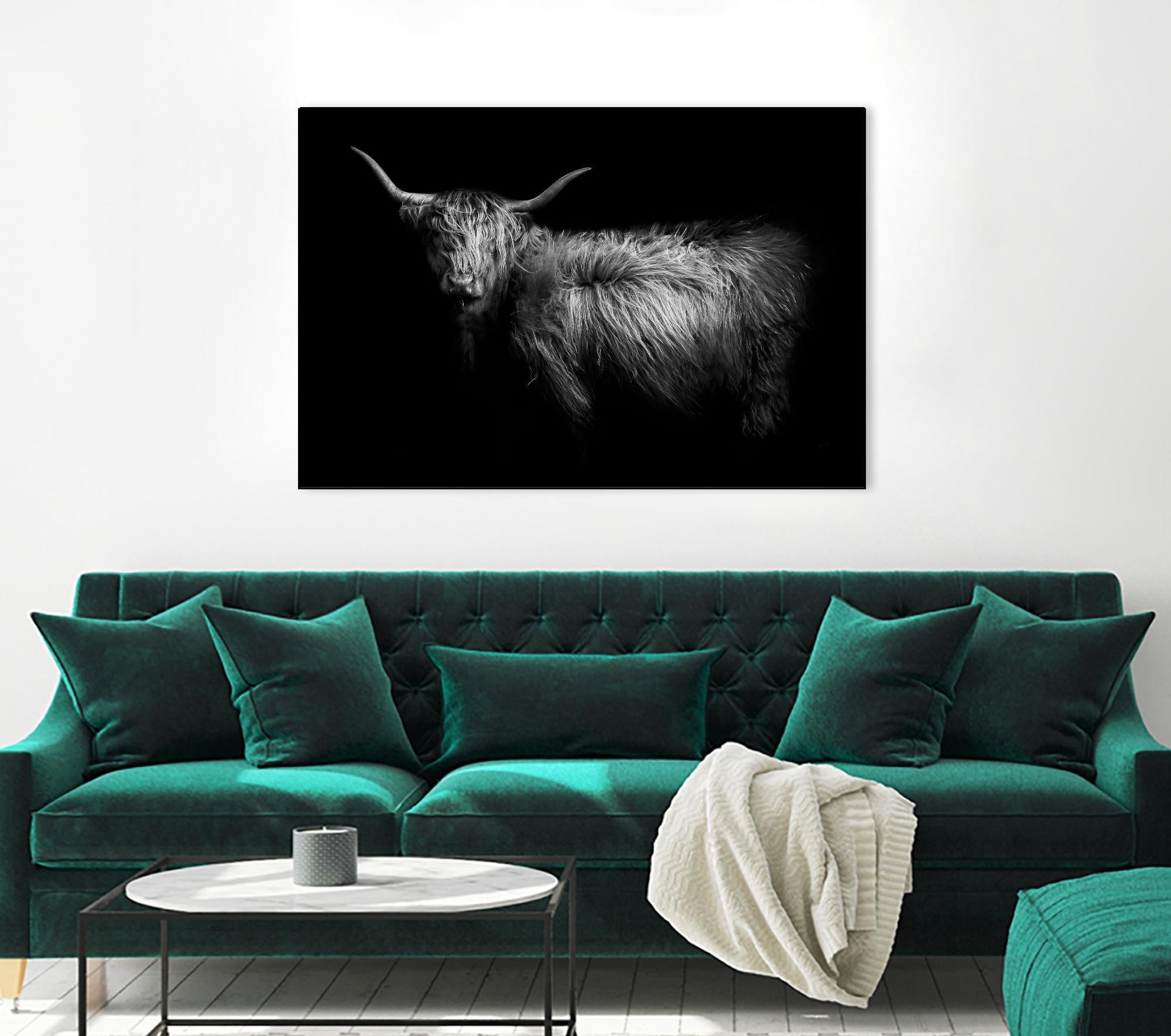 Hello by PhotoINC Studio on GIANT ART - multicolor animals; photography