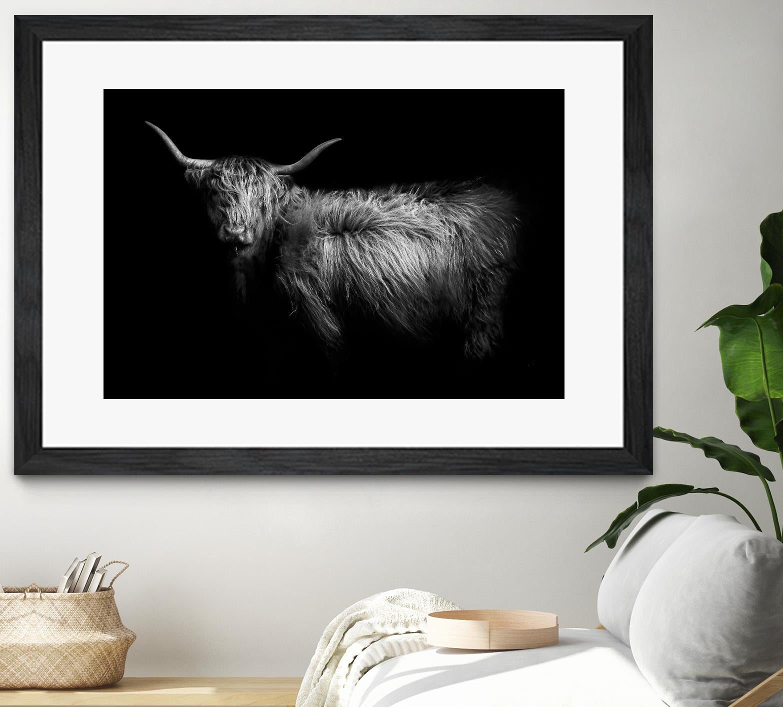 Hello by PhotoINC Studio on GIANT ART - multicolor animals; photography