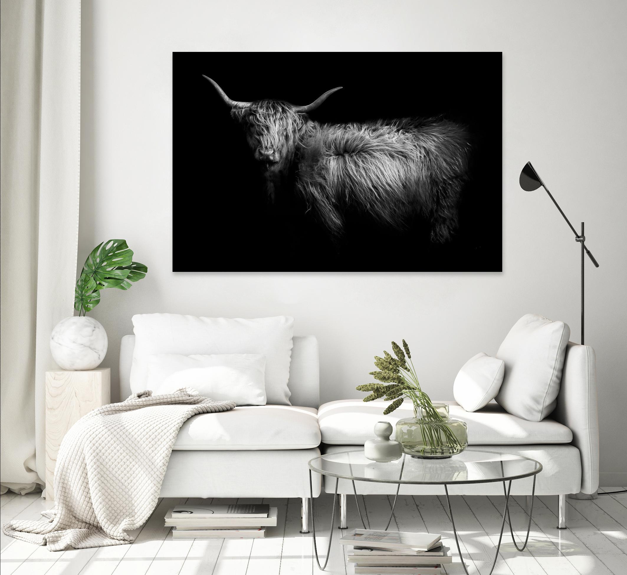 Hello by PhotoINC Studio on GIANT ART - multicolor animals; photography