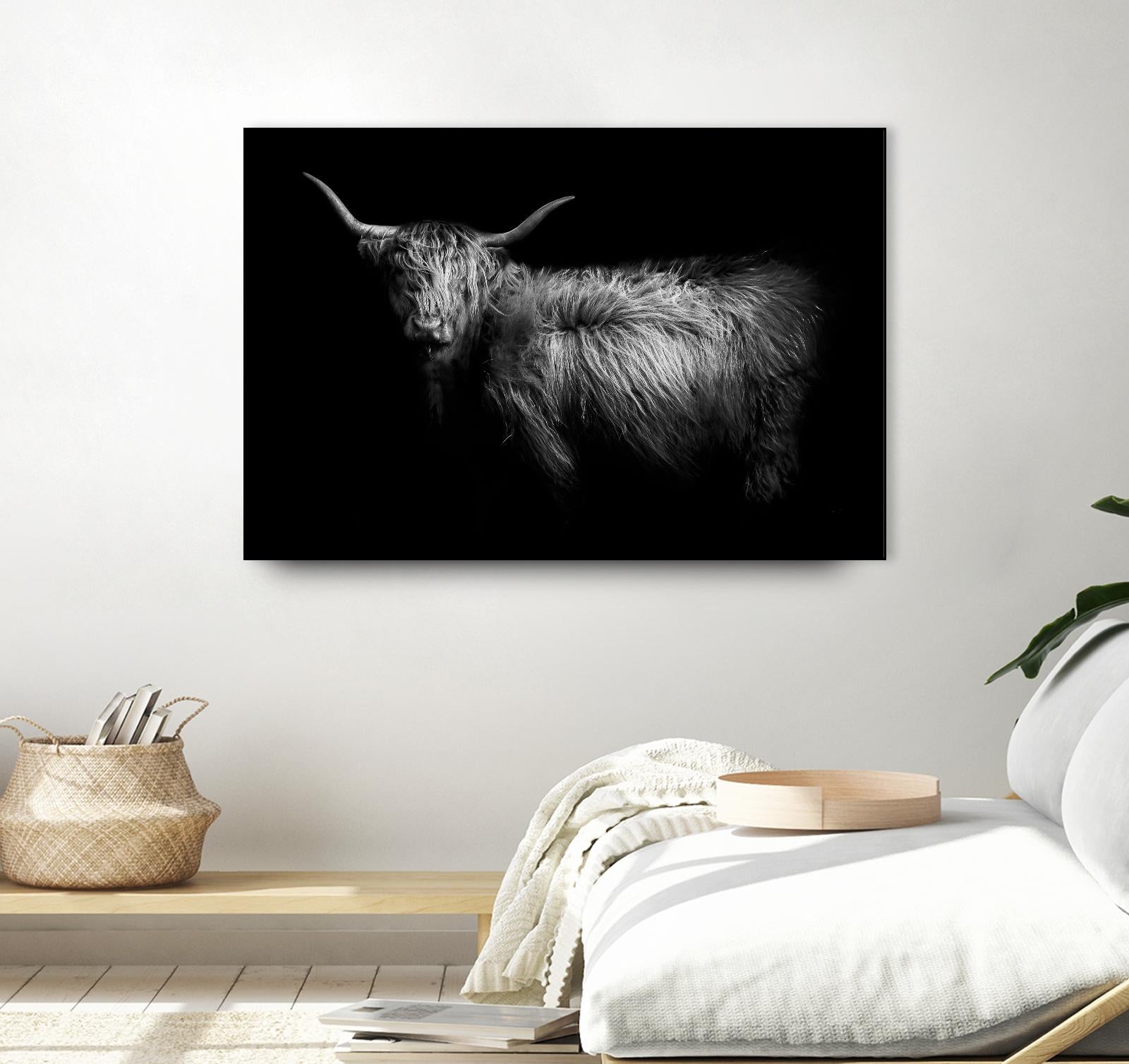 Hello by PhotoINC Studio on GIANT ART - multicolor animals; photography