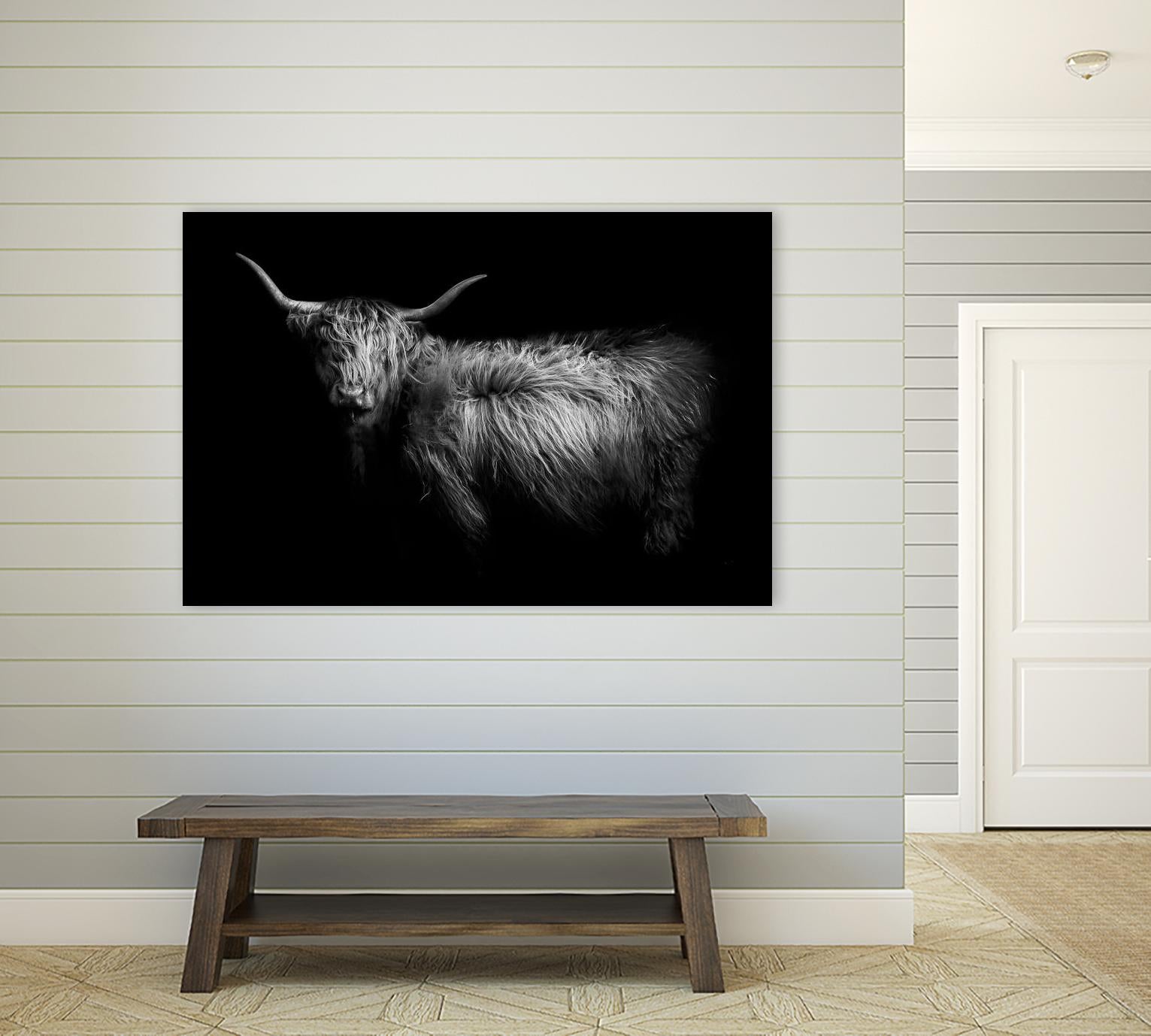 Hello by PhotoINC Studio on GIANT ART - multicolor animals; photography