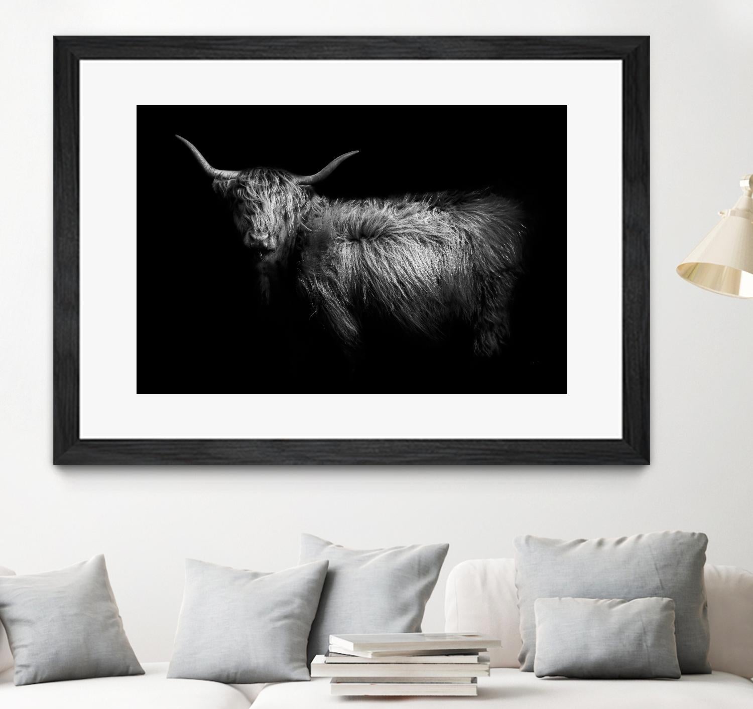 Hello by PhotoINC Studio on GIANT ART - multicolor animals; photography