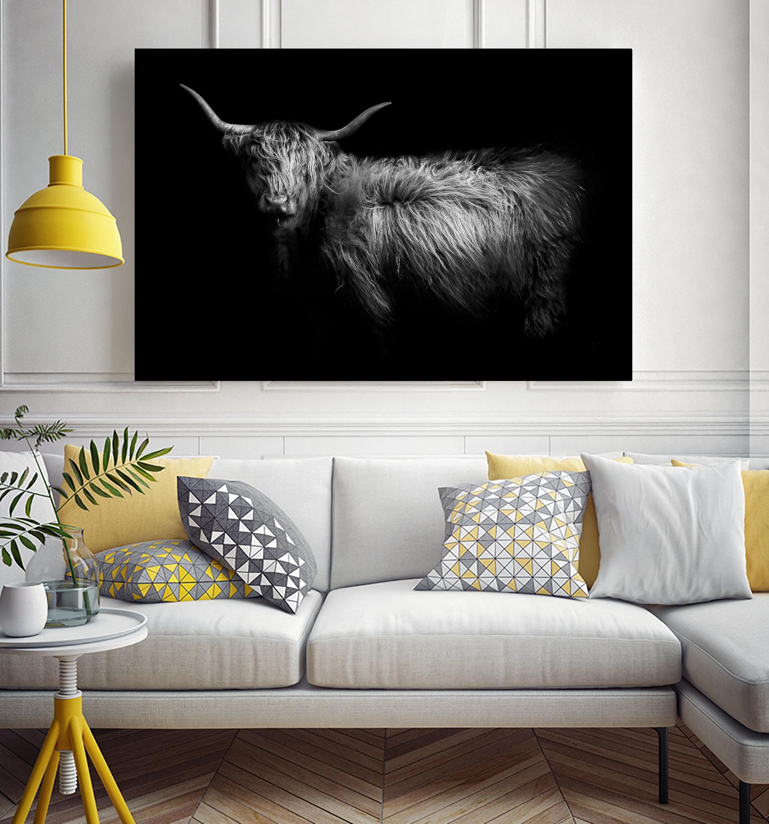 Hello by PhotoINC Studio on GIANT ART - multicolor animals; photography