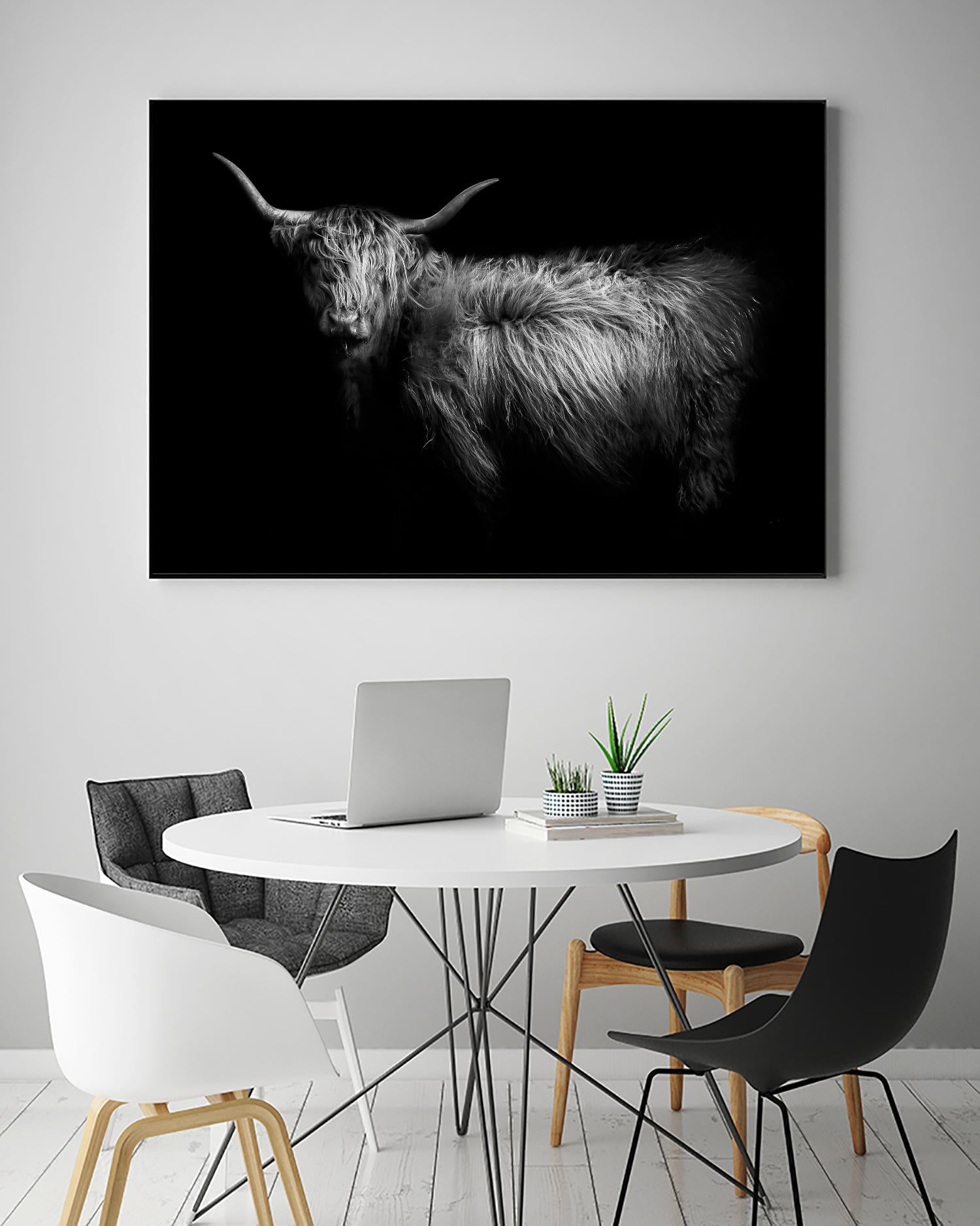 Hello by PhotoINC Studio on GIANT ART - multicolor animals; photography