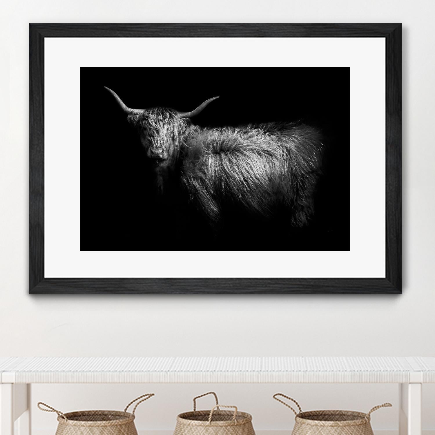 Hello by PhotoINC Studio on GIANT ART - multicolor animals; photography