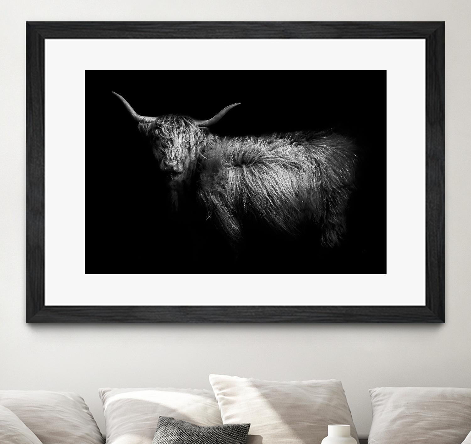 Hello by PhotoINC Studio on GIANT ART - multicolor animals; photography