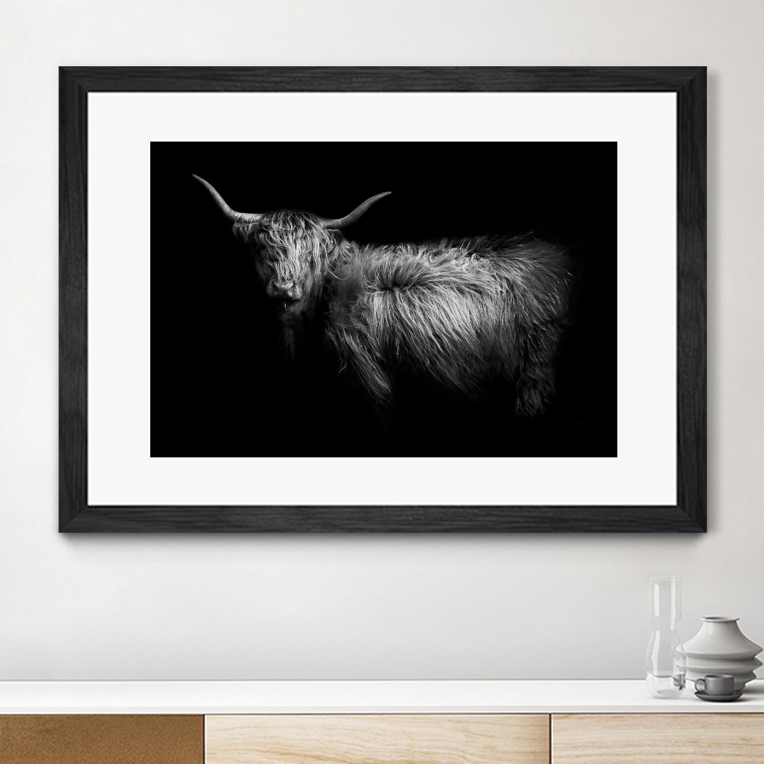 Hello by PhotoINC Studio on GIANT ART - multicolor animals; photography