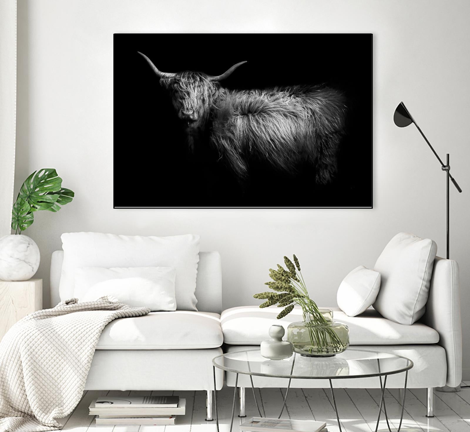 Hello by PhotoINC Studio on GIANT ART - multicolor animals; photography