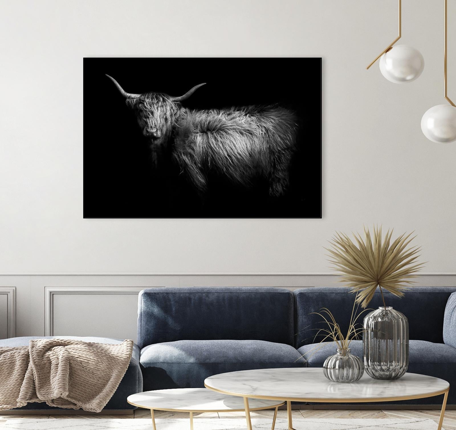 Hello by PhotoINC Studio on GIANT ART - multicolor animals; photography