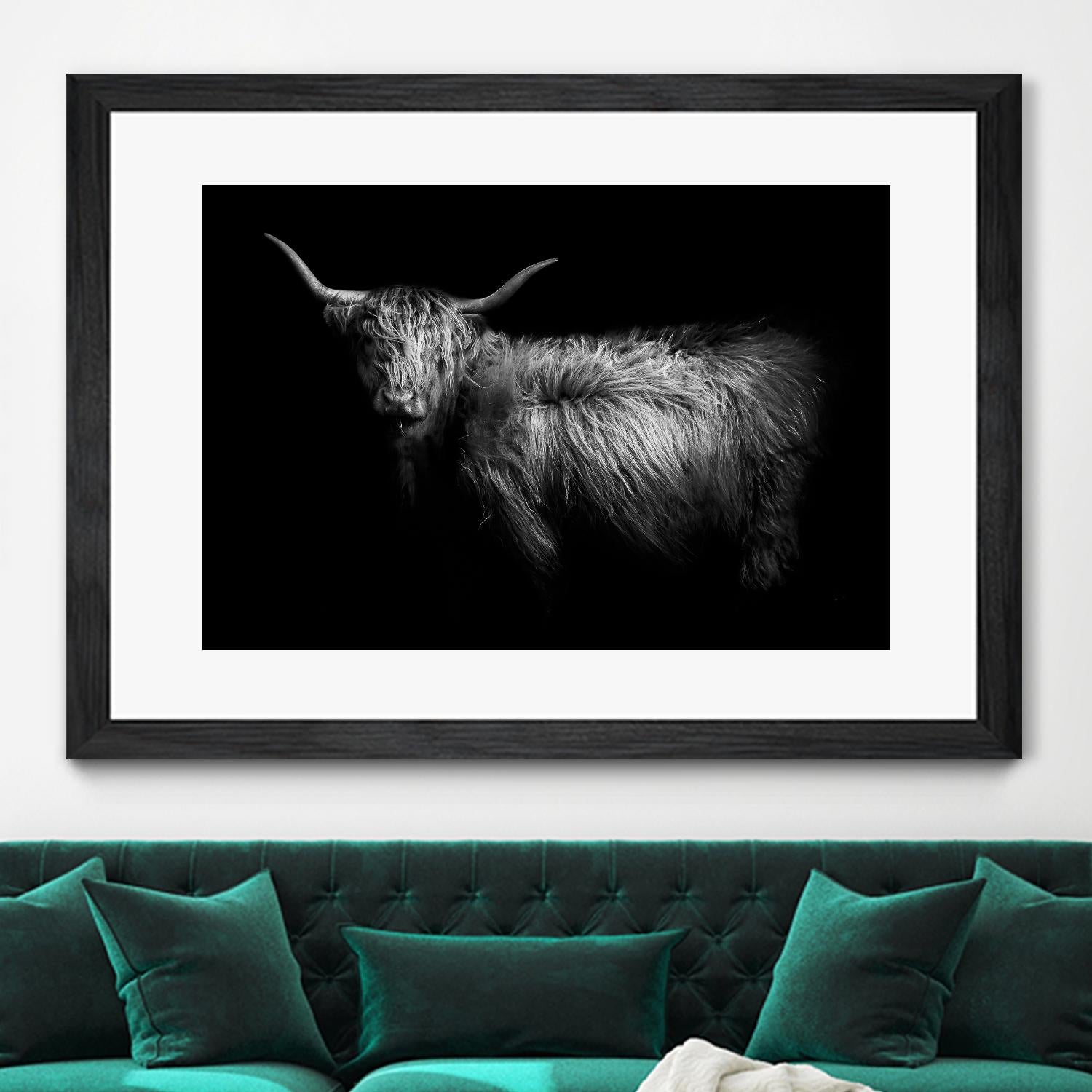 Hello by PhotoINC Studio on GIANT ART - multicolor animals; photography