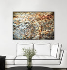 Retro Rust by PhotoINC Studio on GIANT ART - multicolor photography; floral/still life