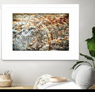Retro Rust by PhotoINC Studio on GIANT ART - multicolor photography; floral/still life